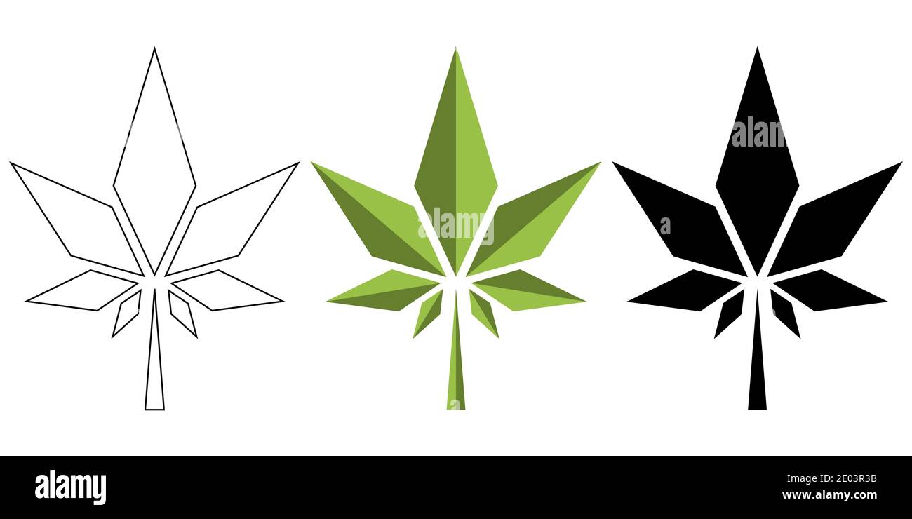 Aquarelle feuille de cannabis conception médicale. Illustration d'esquisse vectorielle. Feuilles isolées. Art botanique Illustration de Vecteur