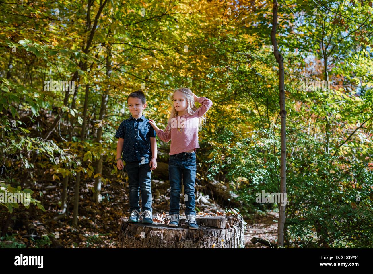 Frère et sœur jouant dans la forêt sur les souches d'arbres Banque D'Images