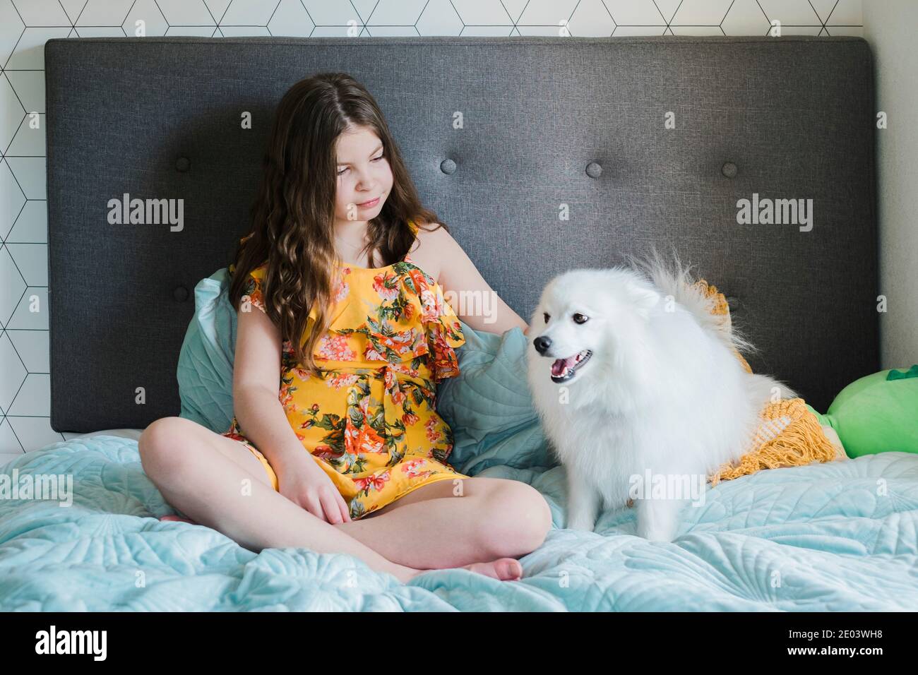 Jeune fille assise sur un lit patrant un heureux petit chien blanc moelleux Banque D'Images