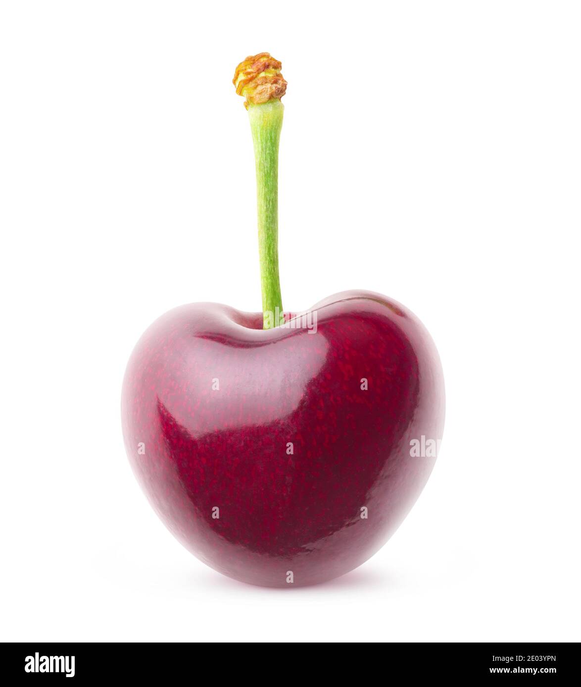 Un fruit de cerise doux avec tige très courte isolée sur arrière-plan blanc Banque D'Images