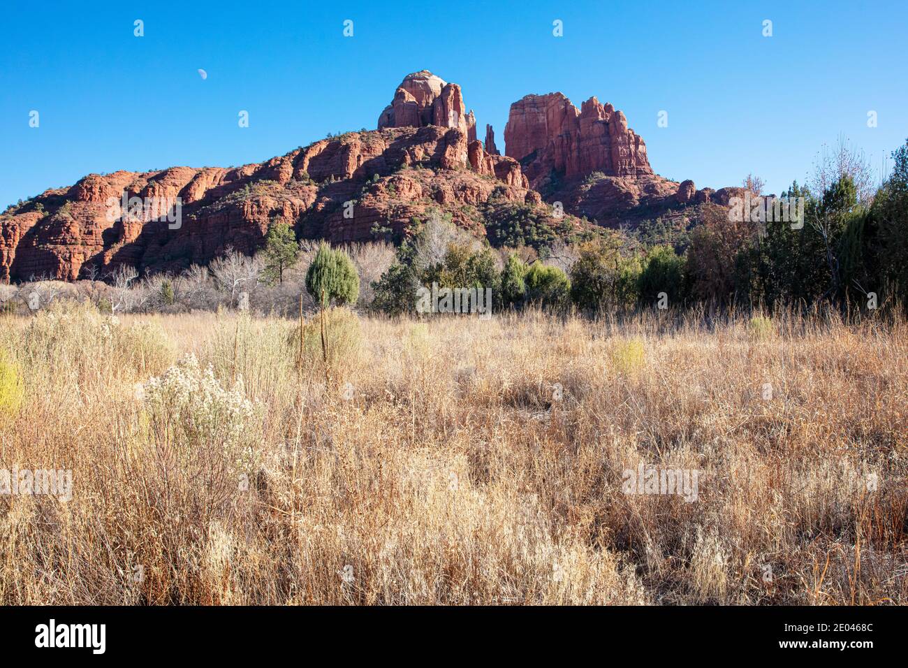 Cathedral Rock et Golden grass, Sedona, Arizona, États-Unis Banque D'Images
