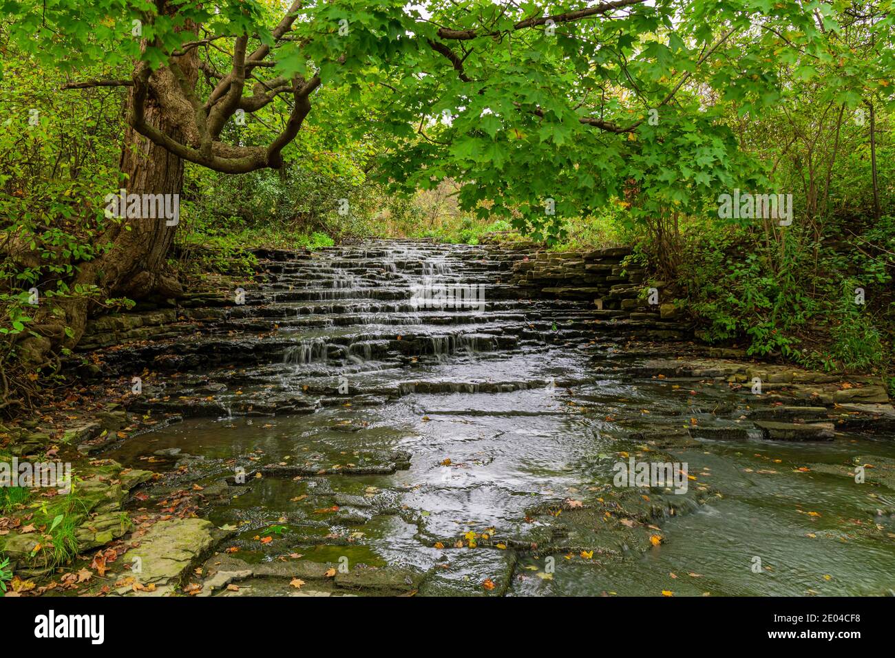 Billy Monkley Cascades Red Hill Creek Hamilton Ontario Canada Banque D'Images