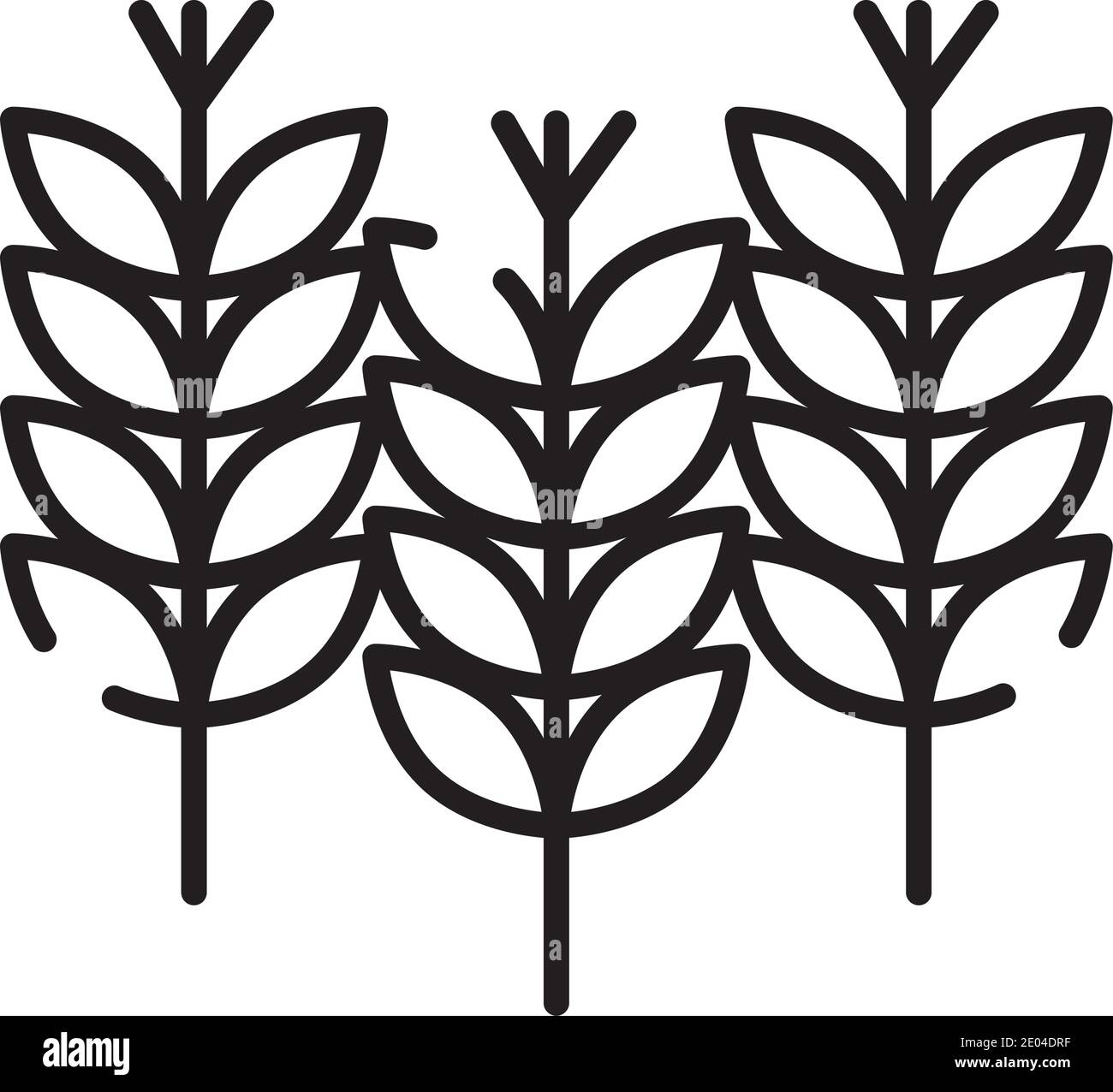 icône d'épis de blé sur fond blanc, style demi-ligne, illustration vectorielle Illustration de Vecteur