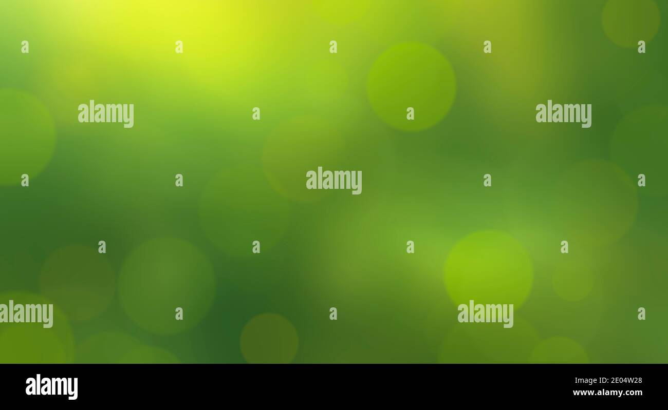 Arrière-plan flou avec bokeh. Concept de couleur verte. Banque D'Images