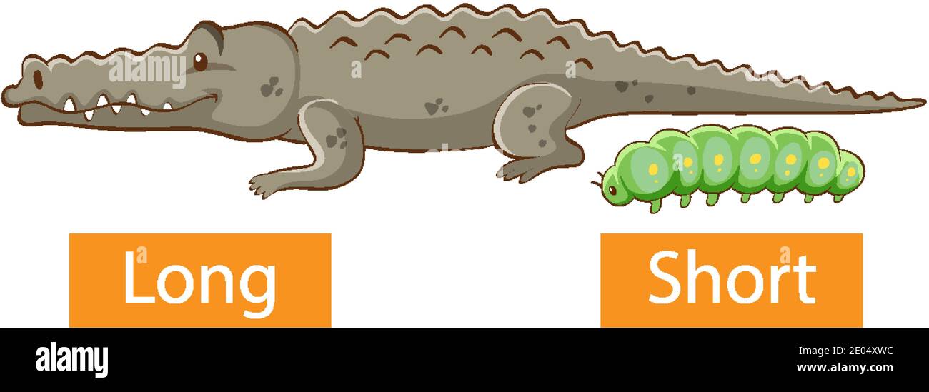 Adjectifs opposés avec une illustration longue et courte Illustration de Vecteur