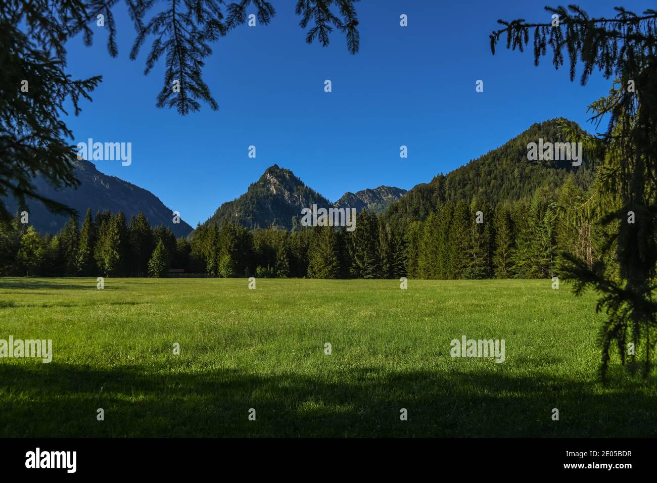 Montagnes de Chiemgau dans le sud de la Bavière, un matin ensoleillé Banque D'Images