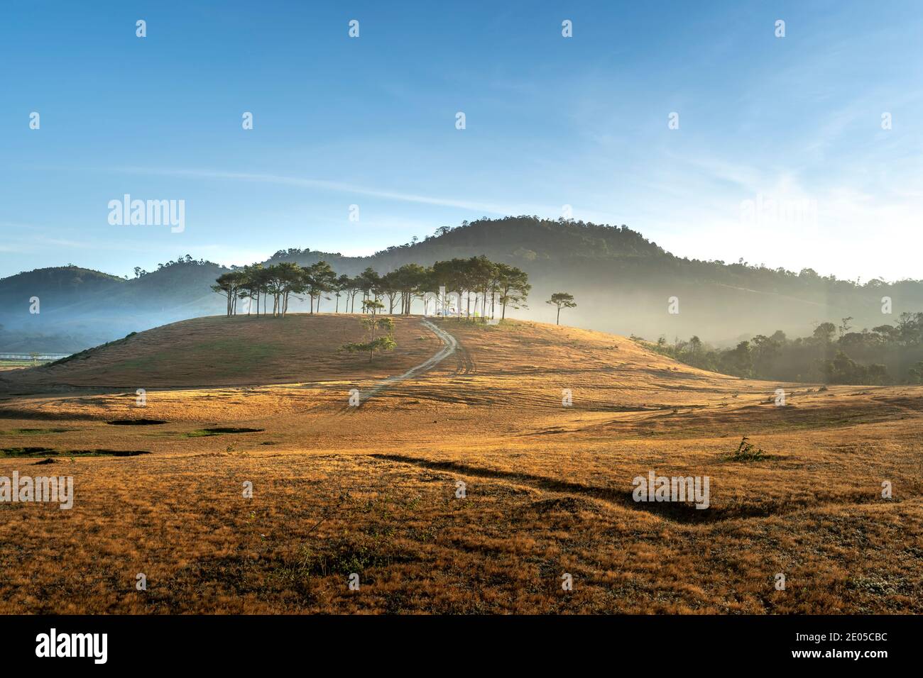 Masara Hamlet, commune de Ta Nang, district de Duc Trong, province de Lam Dong, Vietnam - 27 décembre 2020 : camp de touristes sur un pré dans le village de Masara. Ceci Banque D'Images