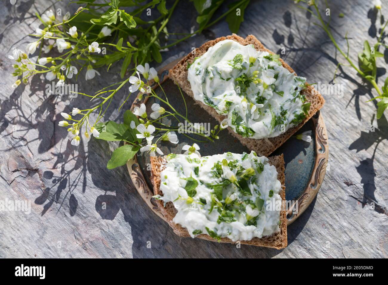 KräuterQuark, Quark auf Brot mit Bitterem Schaumkraut, Bitteres Schaumkraut, Bitter-Schaumkraut, Falsche Brunnenkresse, Bitter-Schaumkraut, Bitterkres Banque D'Images