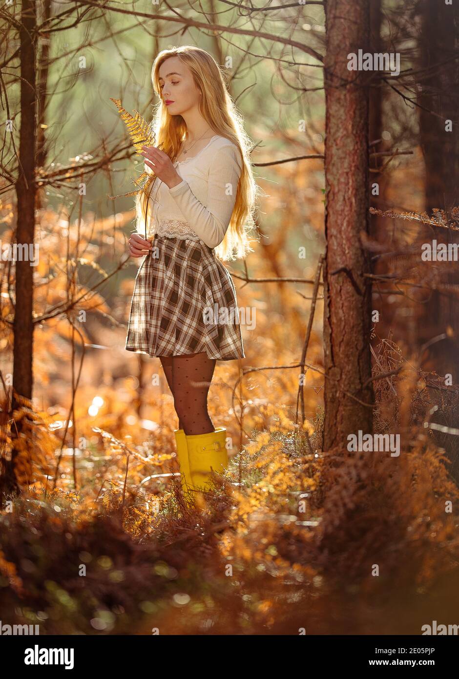 Une jeune femme naturellement belle (20 ans) se connecte à la nature dans une image rêveuse avec des teintes automnales rétro-éclairées avec le soleil dans la Nouvelle forêt Angleterre. Banque D'Images