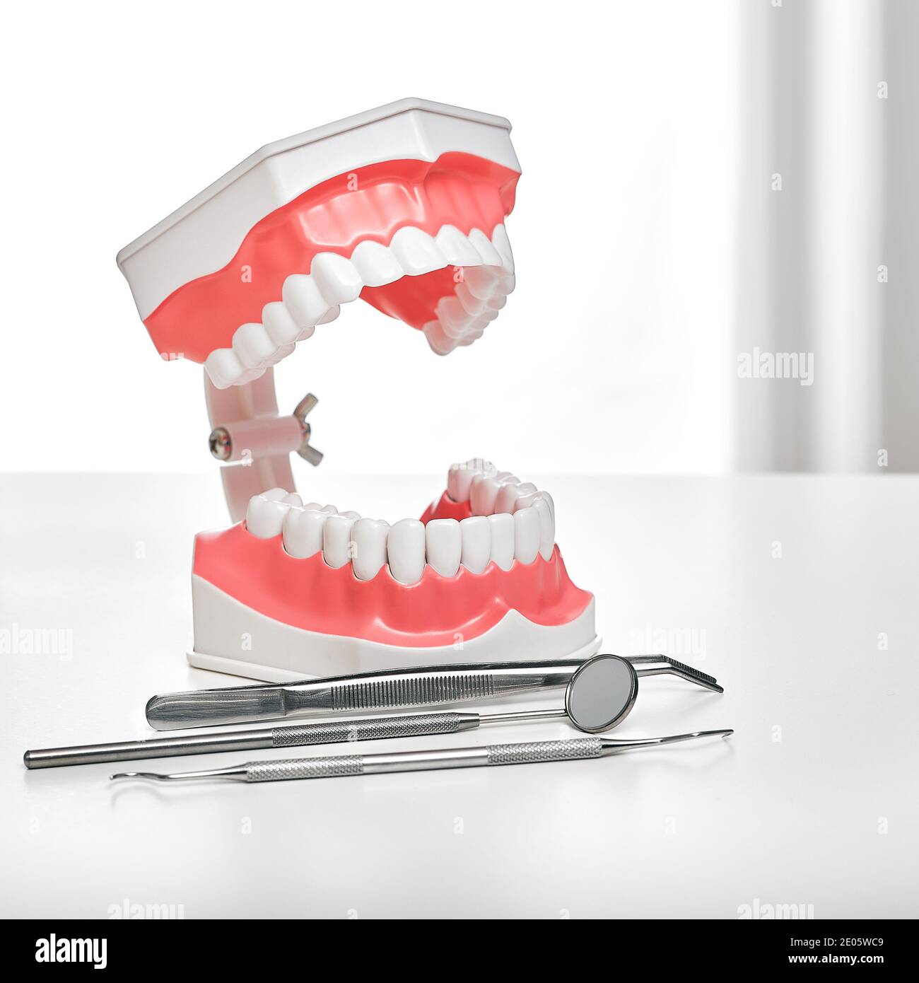 Stomatology et le concept de traitement dentaire. Modèle anatomique des dents et des dispositifs médicaux sur la table du dentiste, gros plan Banque D'Images