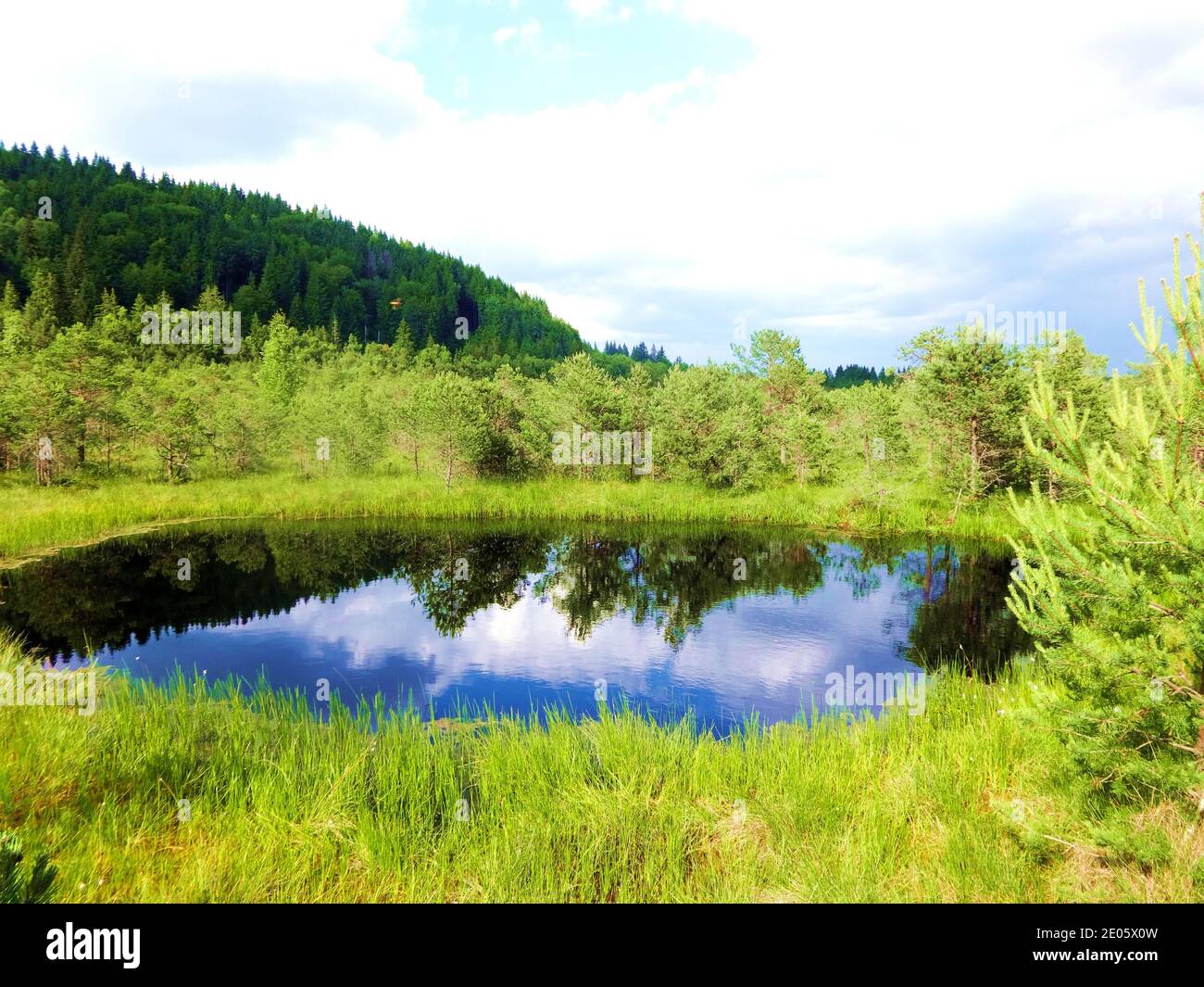 Petit lac dans une réserve naturelle avec le ciel nuageux réfléchi dans l'eau Banque D'Images