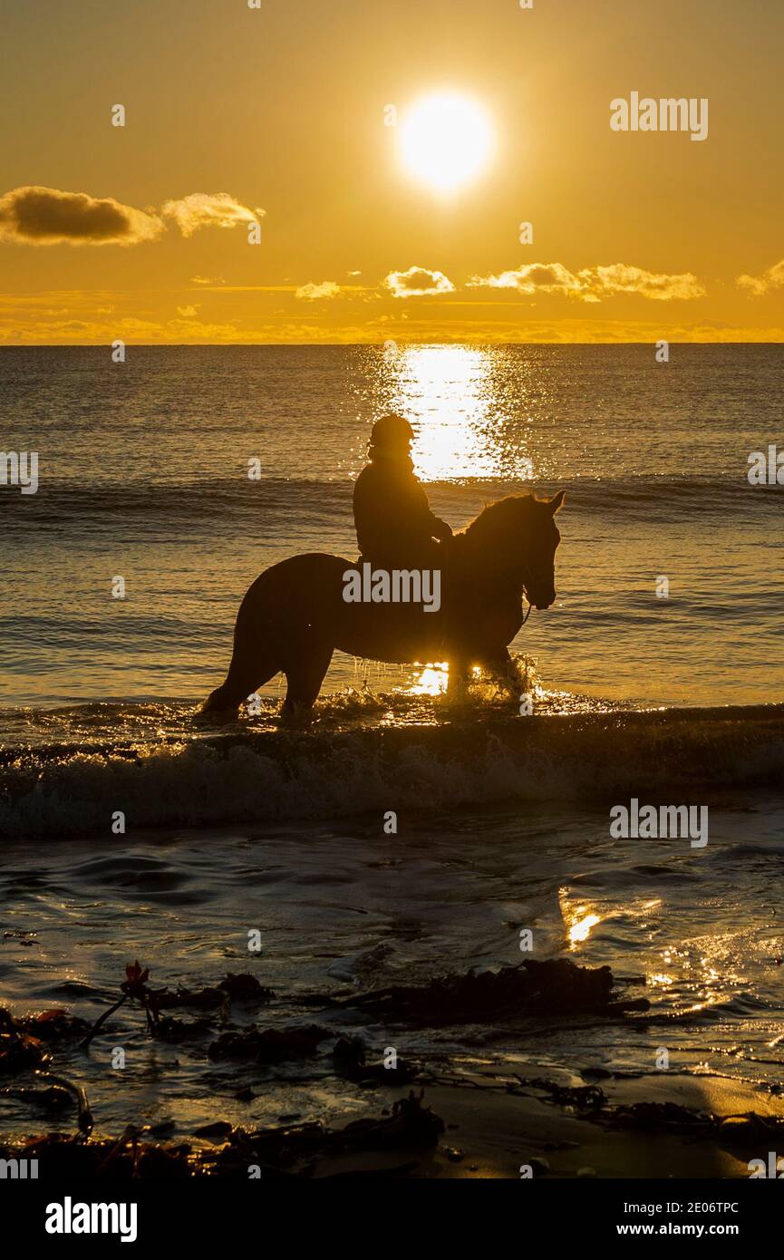 Garrylucas, West Cork, Irlande. 30 décembre 2020. Carmel Hayes, de Kinsale, à cheval 'Queen B', se déplace le long de la plage de Garrylucas à West Cork avant le coucher du soleil sur une journée de soleil d'hiver. Le pays devrait entrer dans un confinement de niveau 5 en raison de la montée en flèche des cas de COVID-19. Crédit : AG News/Alay Live News Banque D'Images