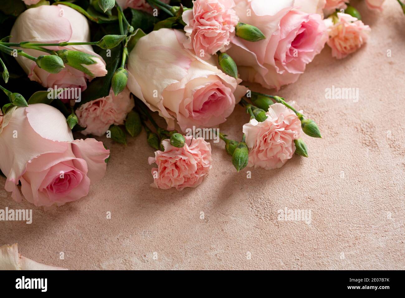 Gros plan de fleurs fraîches sur fond rose Banque D'Images