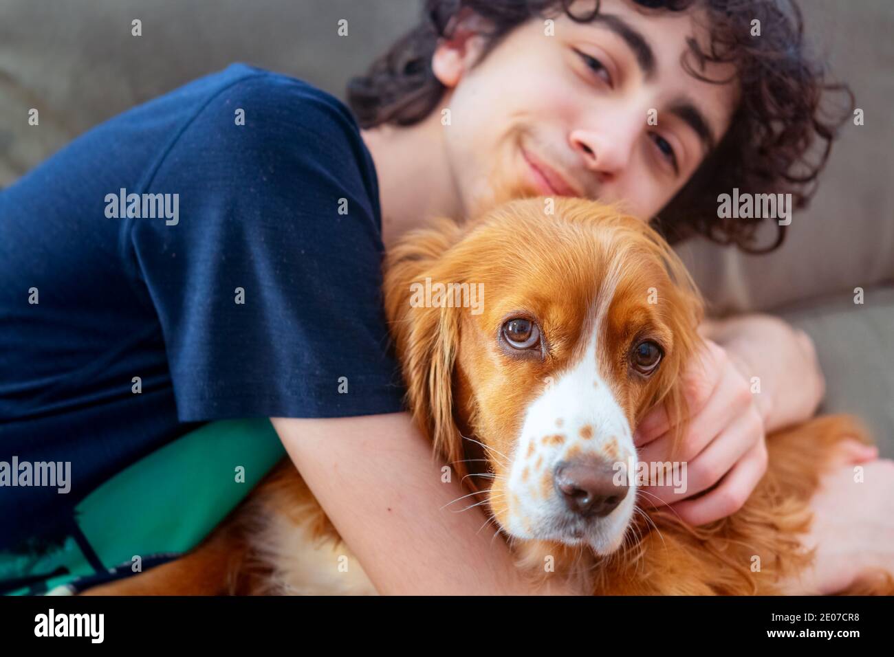 Garçon adolescent mâle avec son adorable chien cocker spaniel animal de compagnie Banque D'Images