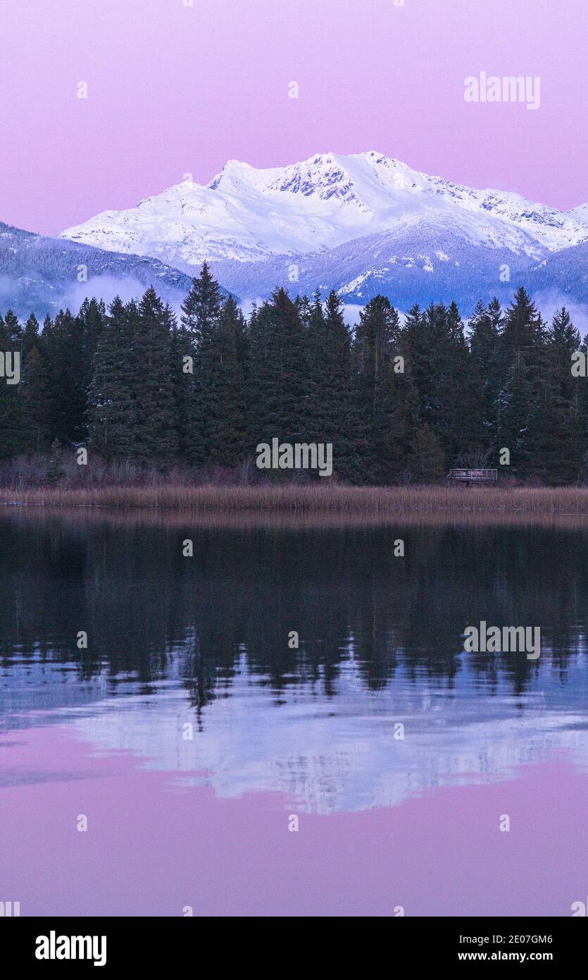Préparation de pain au levain à Whistler, Colombie-Britannique, Canada, naturel, pain végétalien Banque D'Images