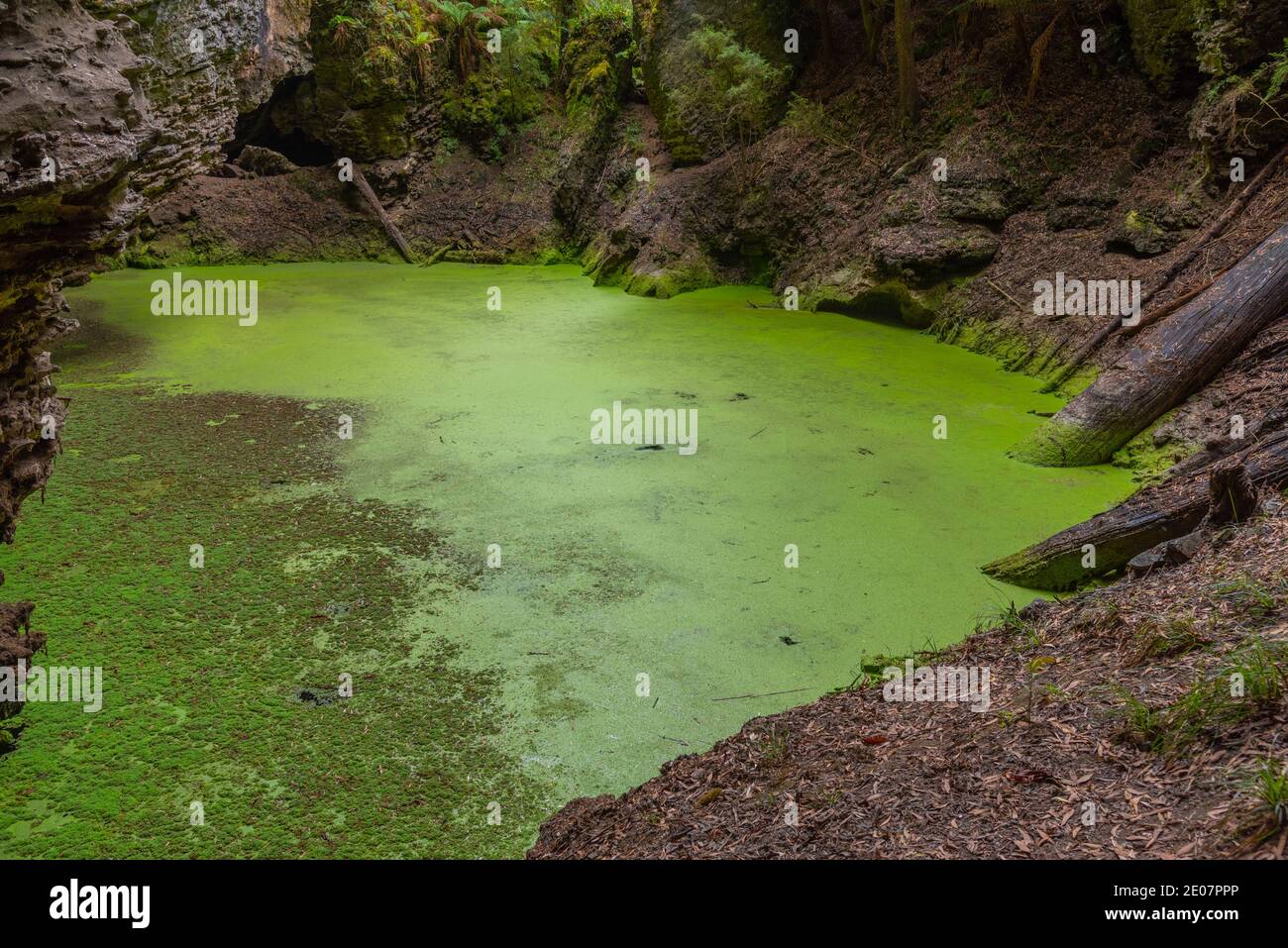 Gouffre derrière la Trowutta Arch, dans la forêt de Tarkine, en Tasmanie, en Australie Banque D'Images
