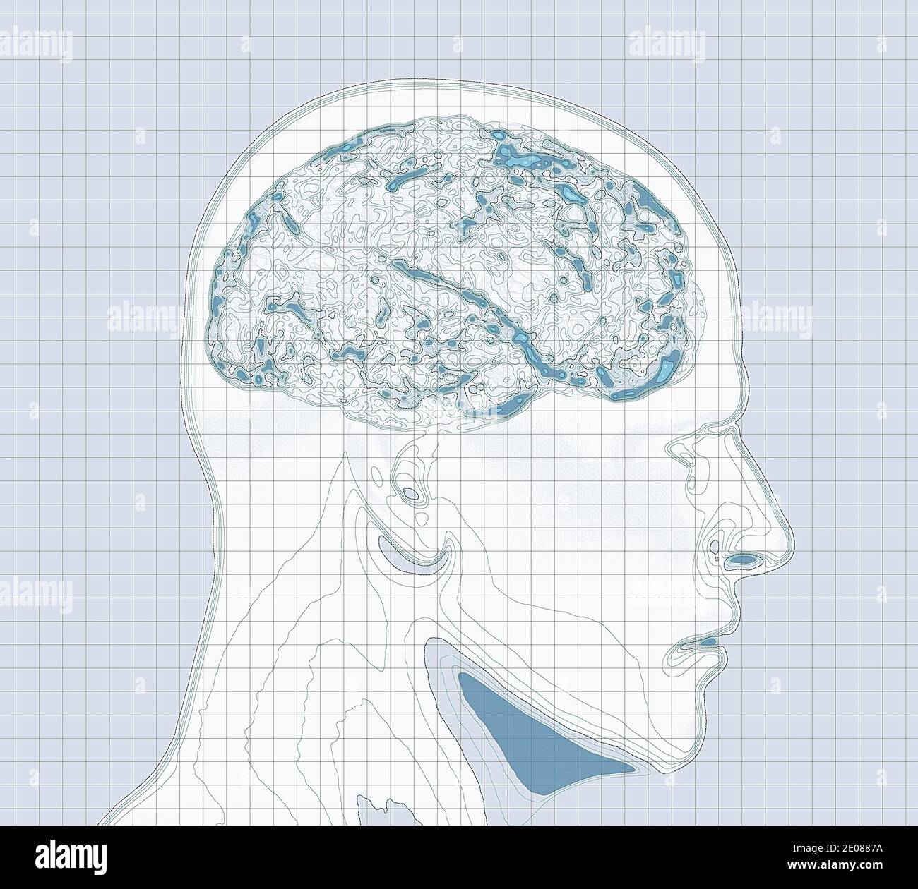 Carte géographique du cerveau, retravailler le cerveau humain sous la forme d'une carte. Concept. Acquisition CT. rendu 3d. Hauteurs et orographie, relief montagneux Banque D'Images