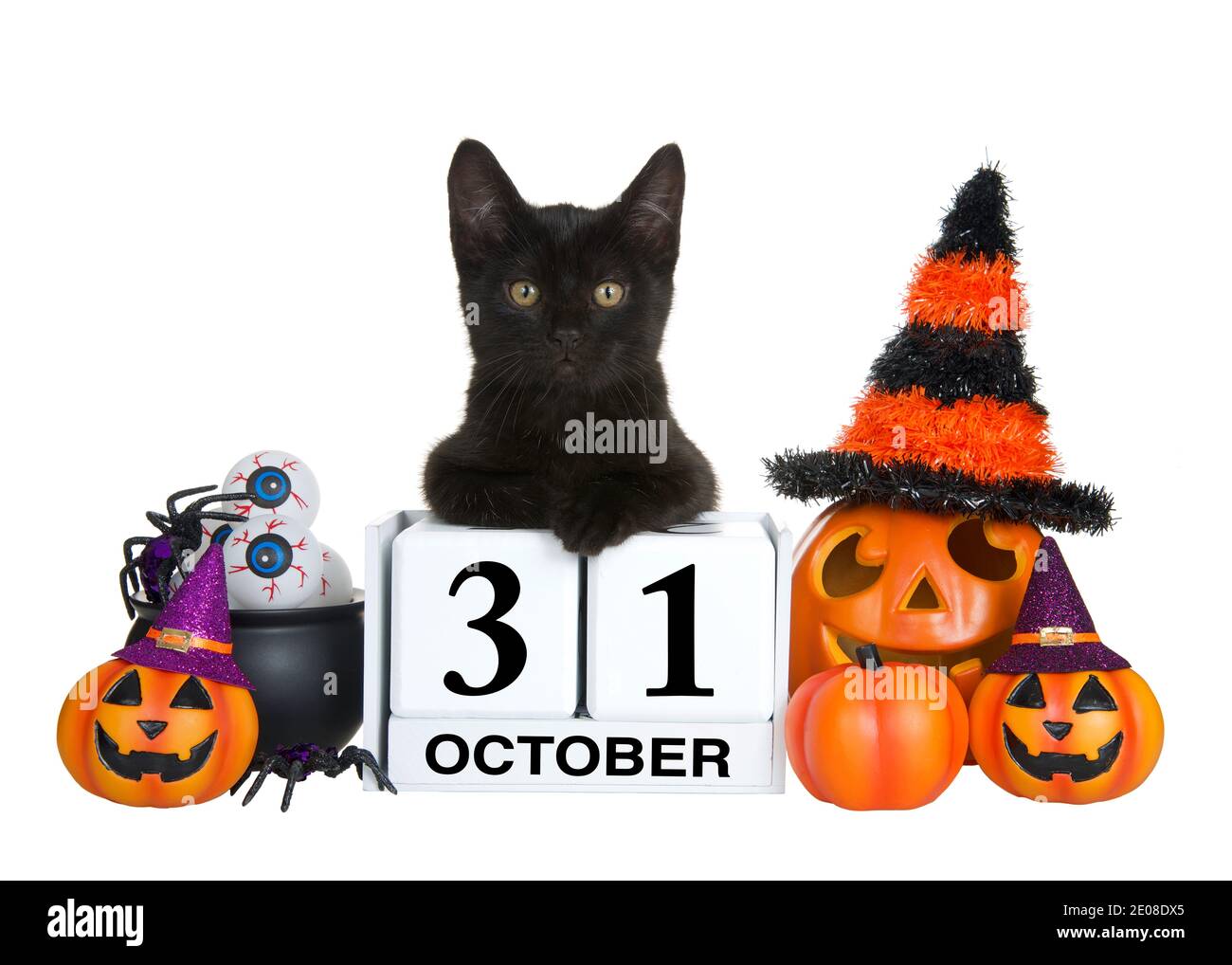 Adorable chaton noir décontracté sur des blocs de calendrier avec date de congé pour Halloween, octobre 31. Entouré de citrouilles en forme de citrouille et de lanternes portant de l'humour Banque D'Images