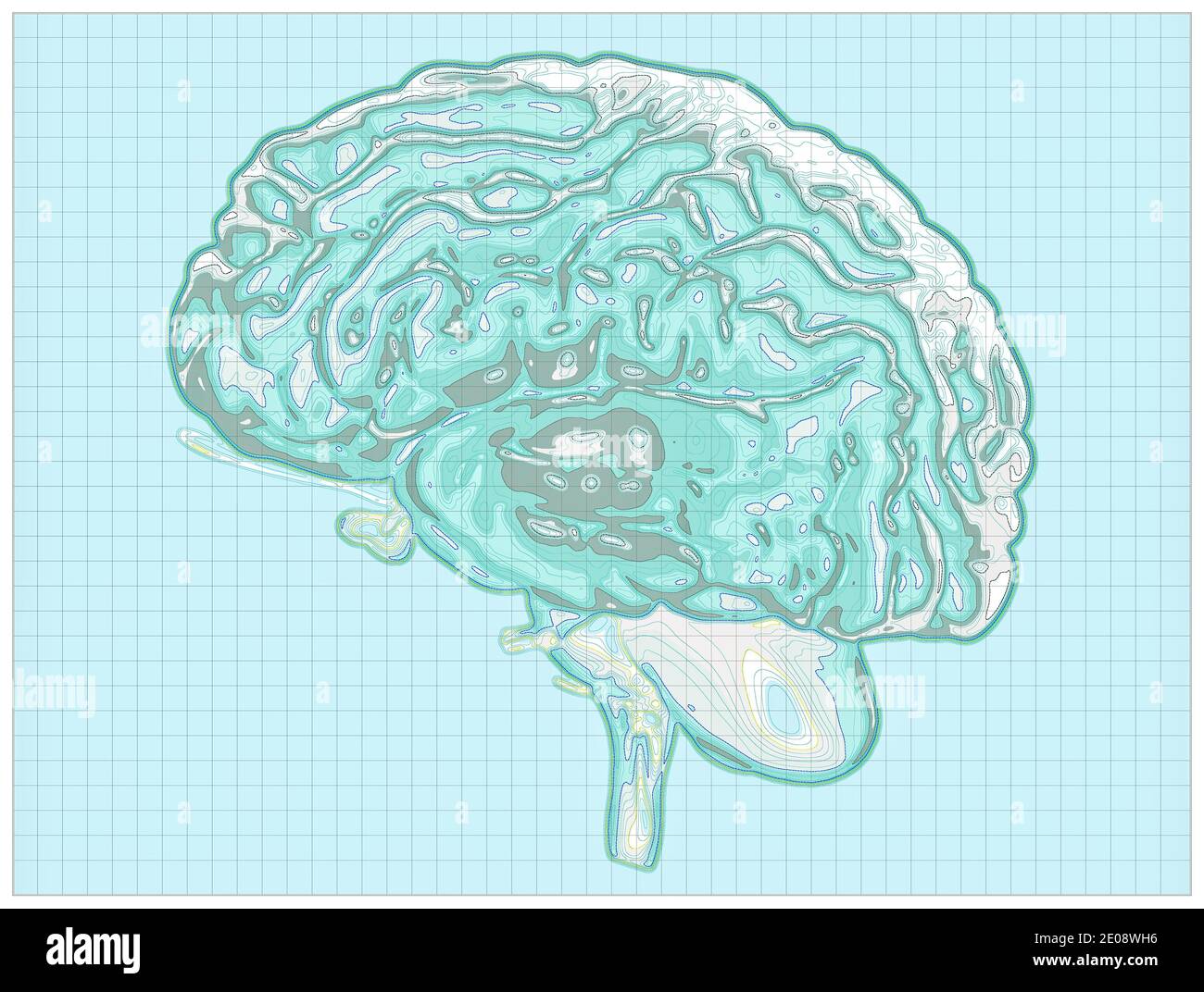 Carte géographique du cerveau, retravailler le cerveau humain sous la forme d'une carte. Concept. Acquisition CT. rendu 3d. Hauteurs et orographie, relief montagneux Banque D'Images