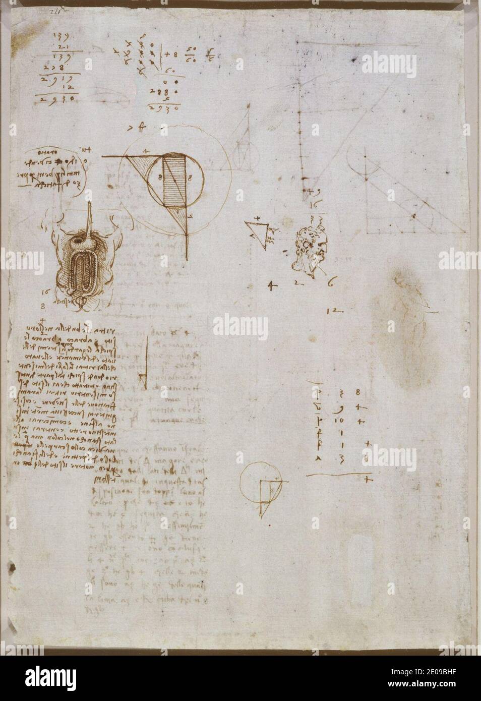Leonardo da Vinci - Verso UNE étude des organes digestifs, la tête d'un vieil homme en profil, une étude délavée de Leda, et des diagrammes géométriques c. 1506-8. Banque D'Images