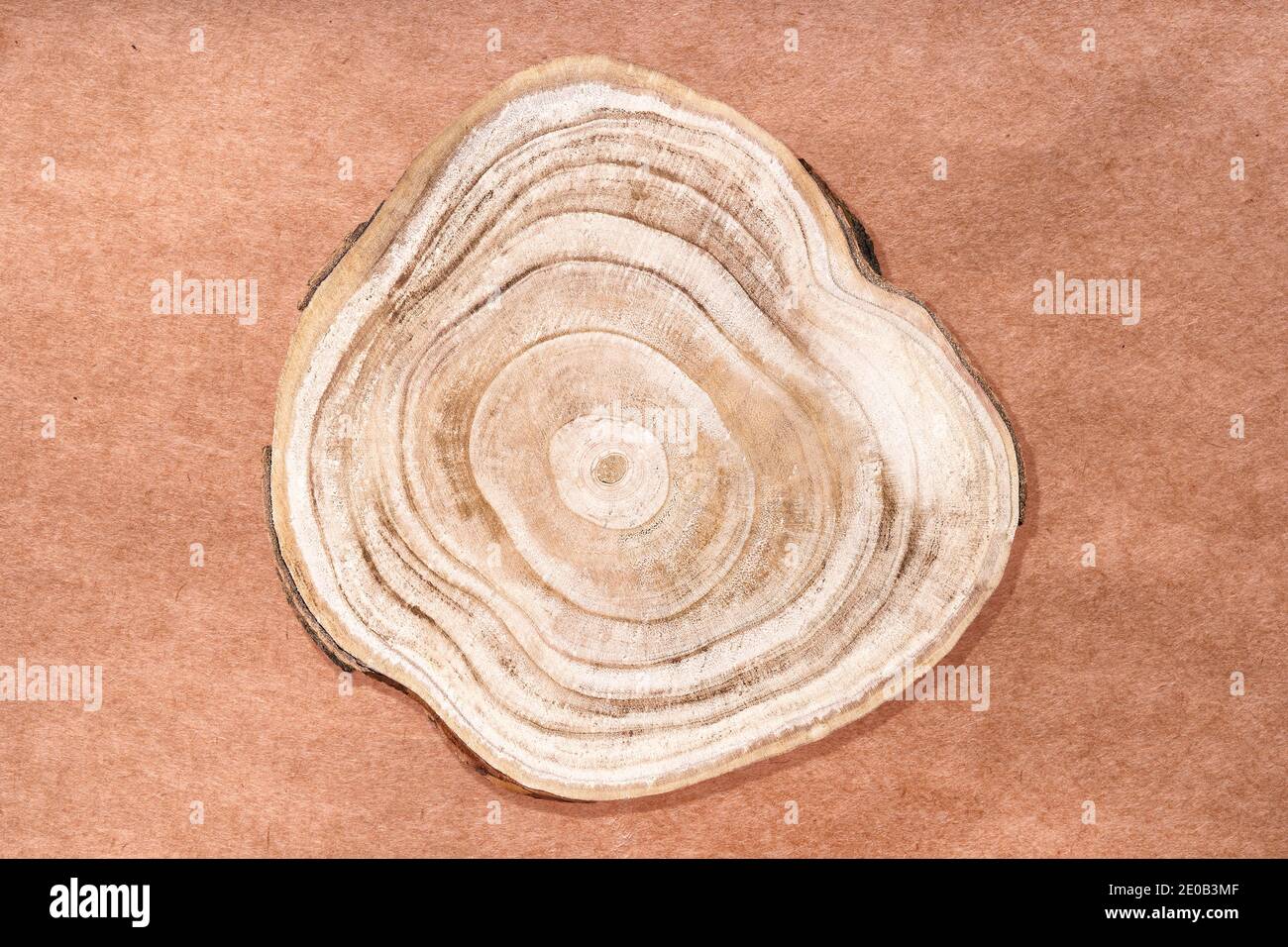 Socle écologique naturel. Coupe transversale en bois sur la surface en papier écologique de l'artisanat. Exposition de prix pour les produits cosmétiques. Produit Banque D'Images