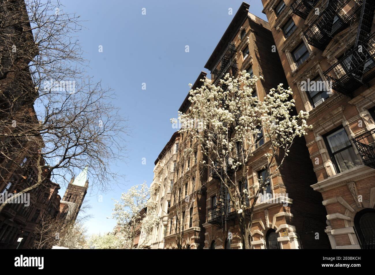 Vue sur le patrimoine architectural de Harlem. Harlem est un quartier de New York City, quartier de Manhattan, qui depuis les années 1920 est un important centre résidentiel, culturel et d'affaires afro-américain. À l'origine un village hollandais, officiellement organisé en 1658, il porte le nom de la ville de Haarlem aux pays-Bas. Harlem a été annexée à la ville de New York en 1873 le 28 mars 2012 à New York, NY, États-Unis. Patrimoine architectural de Harlem. Harlem est un quartier du quartier de Manhattan, dans la ville de New York,qui, depuis les anees 1920 a été un grand centre résidentiel, culturel et Banque D'Images