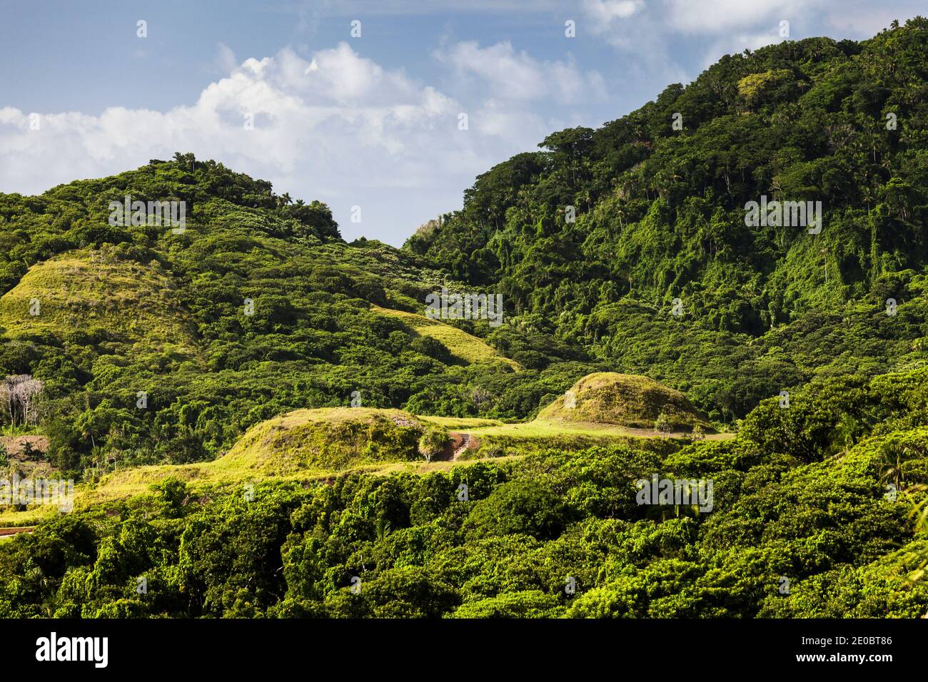 KED Ra Ngchemiangel, terrasses Kamiangel, simplement 'KED' ou 'Terrace', ancienne colline en terrasse faite par l'homme, île de Babeldaob, Palaos, Micronésie, Océanie Banque D'Images