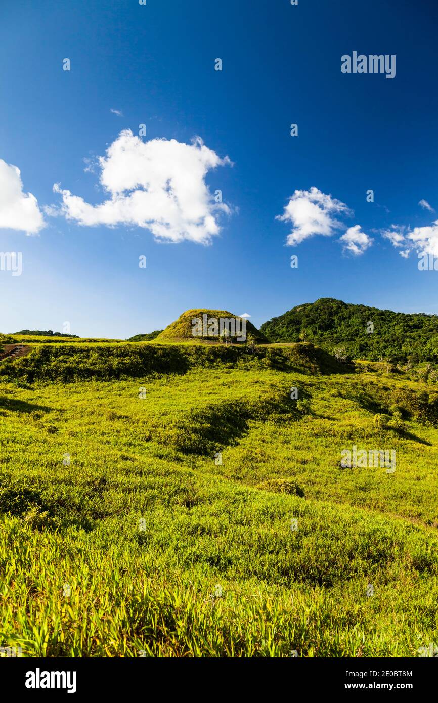 KED Ra Ngchemiangel, terrasses Kamiangel, simplement 'KED' ou 'Terrace', ancienne colline en terrasse faite par l'homme, île de Babeldaob, Palaos, Micronésie, Océanie Banque D'Images