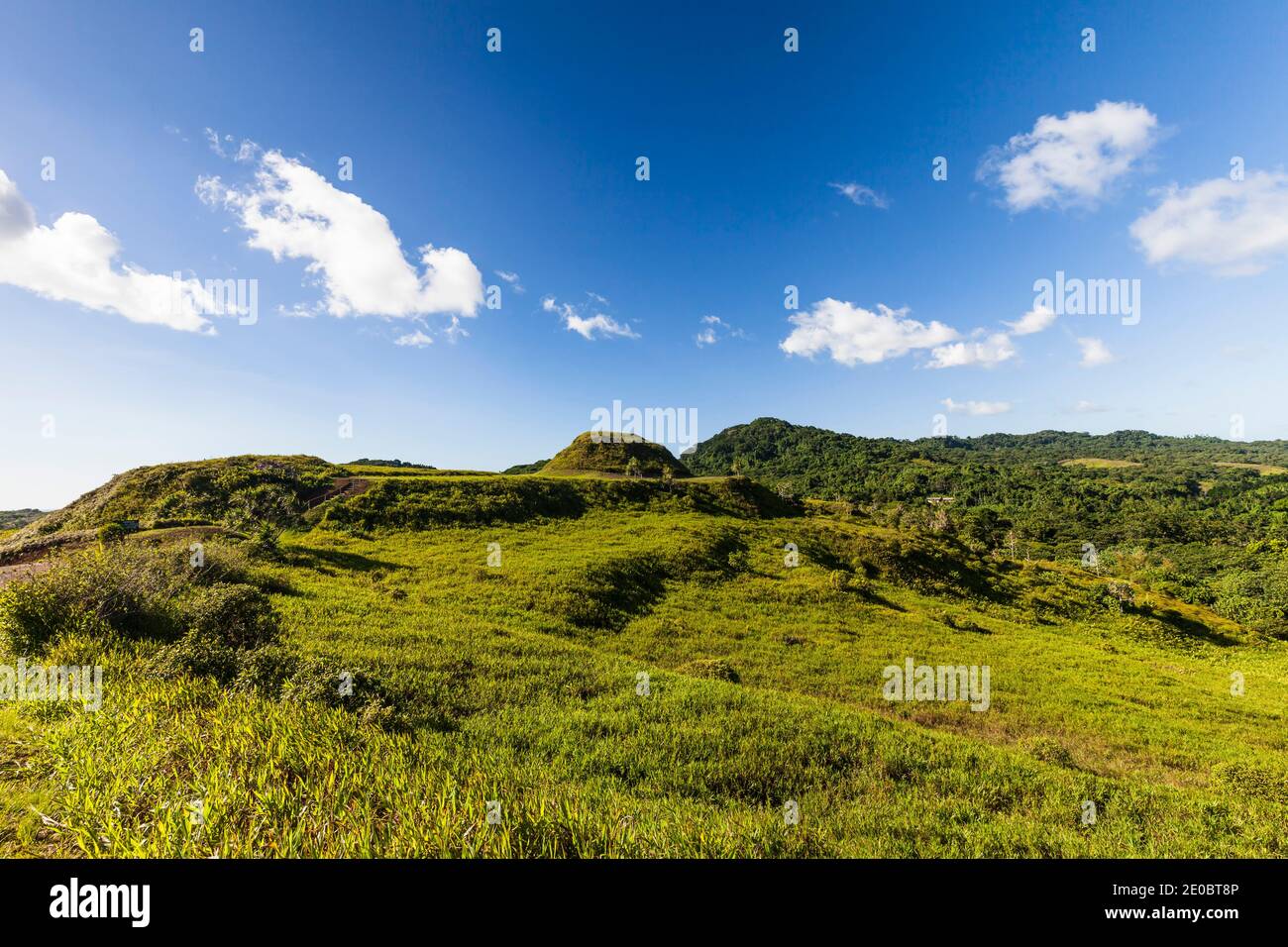 KED Ra Ngchemiangel, terrasses Kamiangel, simplement 'KED' ou 'Terrace', ancienne colline en terrasse faite par l'homme, île de Babeldaob, Palaos, Micronésie, Océanie Banque D'Images