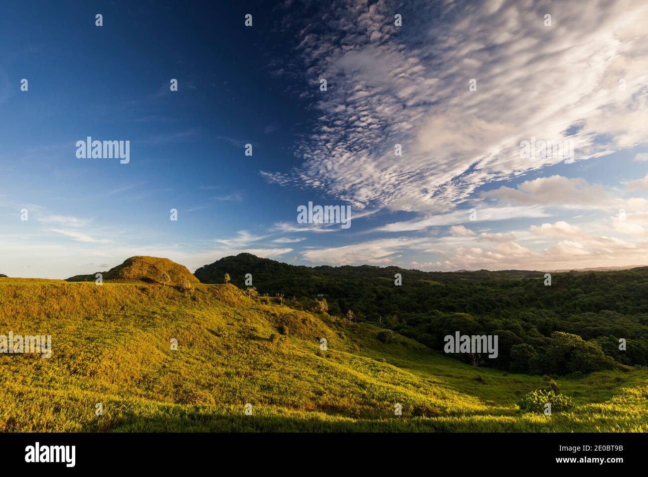 KED Ra Ngchemiangel, terrasses Kamiangel, simplement 'KED' ou 'Terrace', ancienne colline en terrasse faite par l'homme, île de Babeldaob, Palaos, Micronésie, Océanie Banque D'Images