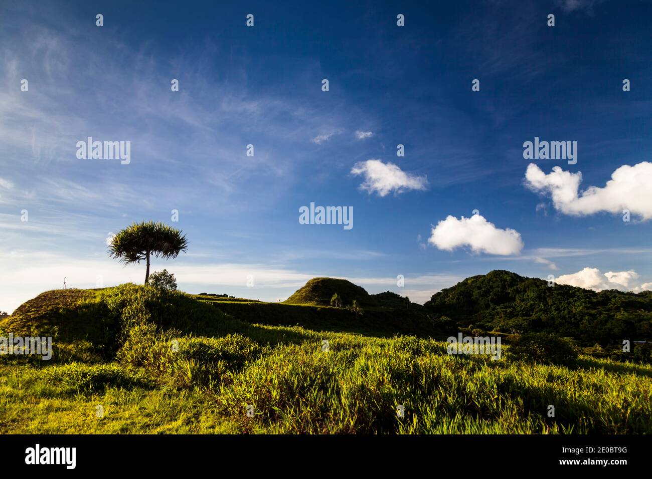 KED Ra Ngchemiangel, terrasses Kamiangel, simplement 'KED' ou 'Terrace', ancienne colline en terrasse faite par l'homme, île de Babeldaob, Palaos, Micronésie, Océanie Banque D'Images