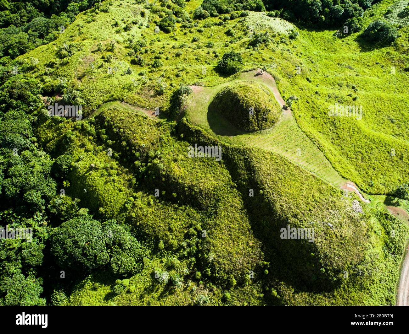 KED Ra Ngchemiangel, terrasses Kamiangel, simplement 'KED' ou 'Terrace', ancienne colline en terrasse faite par l'homme, île de Babeldaob, Palaos, Micronésie, Océanie Banque D'Images