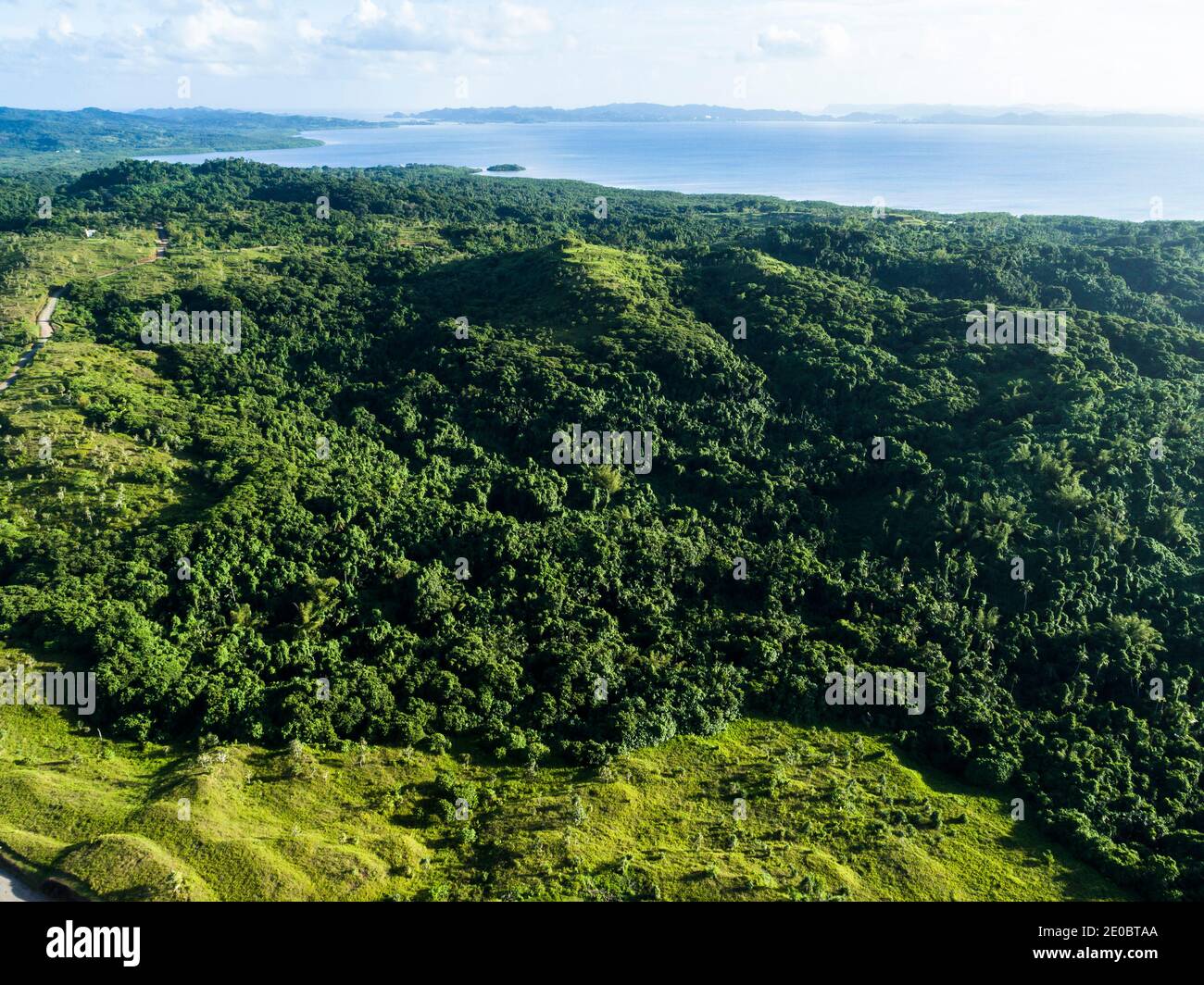 Local KED, Also Terrace, est sculptée forme de relief de colline, mystérieuse ruines artificielles anciennes, Aimeliik, île de Babeldaob, Palau, Micronésie, Océanie Banque D'Images