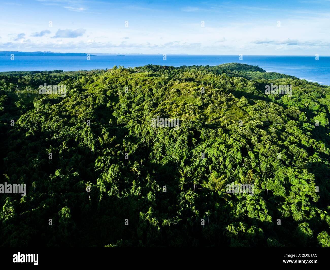 La forêt tropicale et l'océan Pacifique, et la ruine locale KED, également Terrace, est sculptée, Aimeliik, île de Babeldaob, Palau, Micronésie, Océanie Banque D'Images