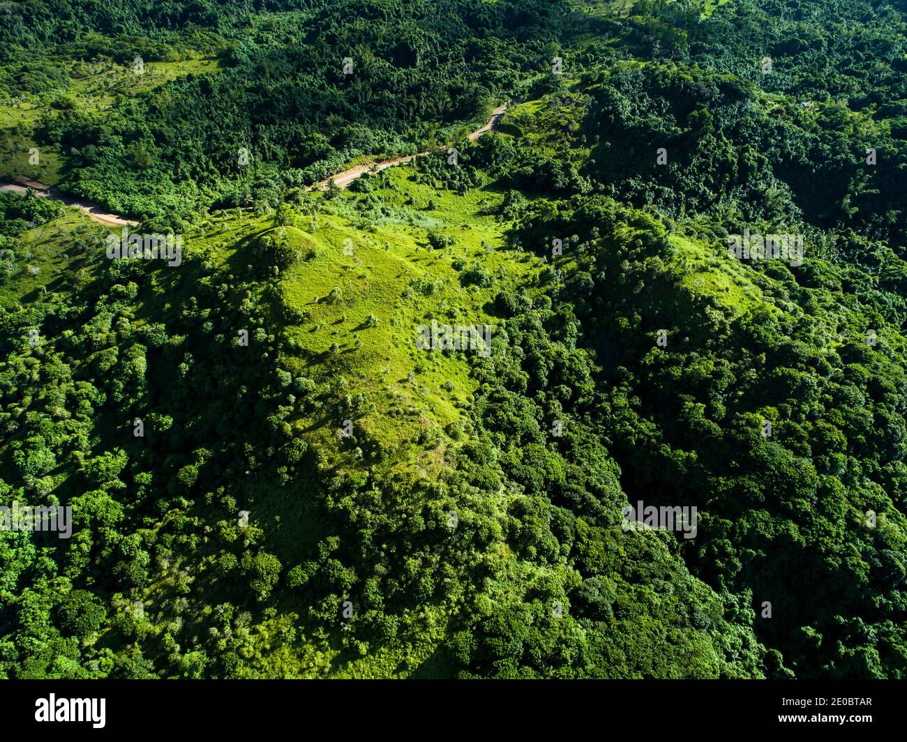 Local KED, Also Terrace, est sculptée forme de relief de colline, mystérieuse ruines artificielles anciennes, Aimeliik, île de Babeldaob, Palau, Micronésie, Océanie Banque D'Images