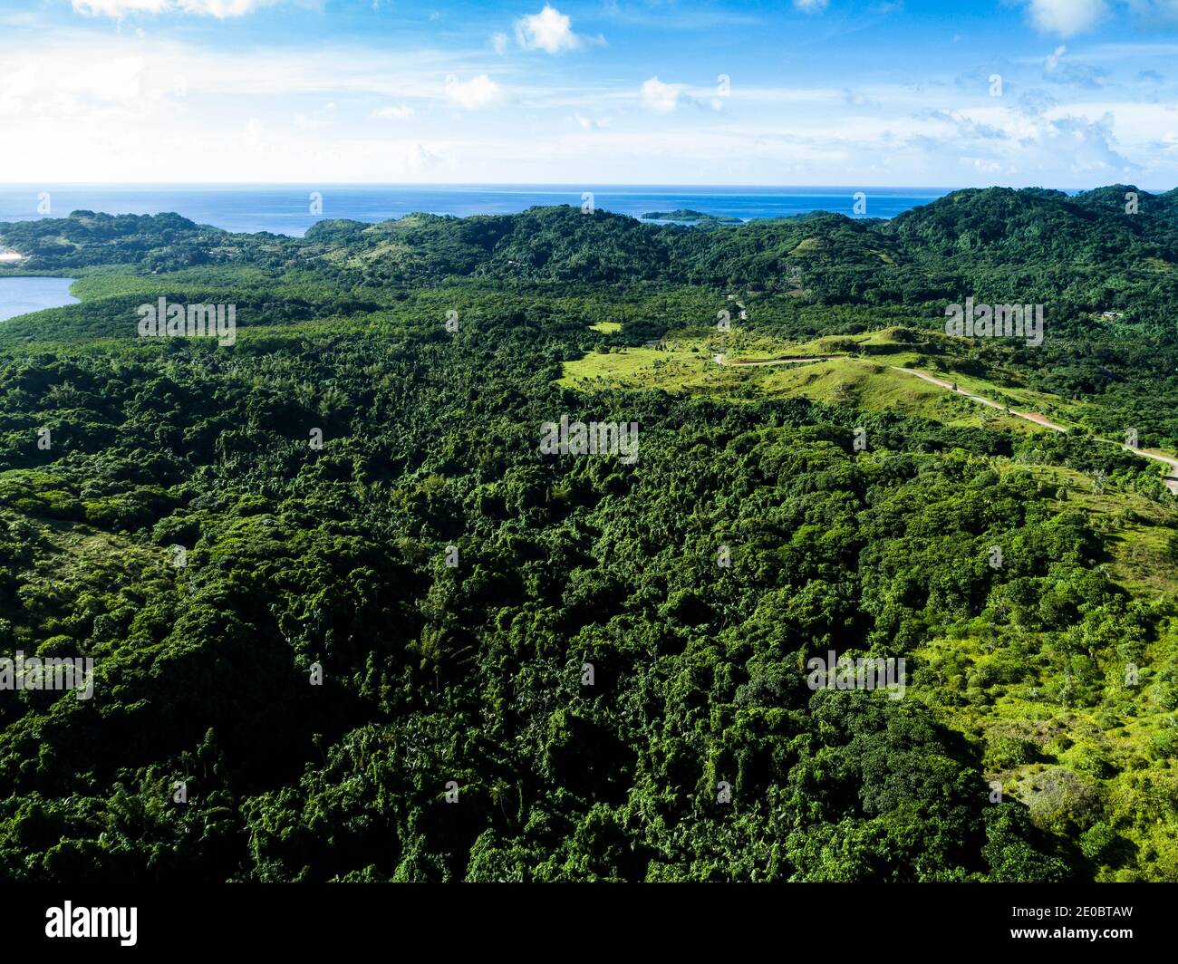 Local KED, Also Terrace, est sculptée forme de relief de colline, mystérieuse ruines artificielles anciennes, Aimeliik, île de Babeldaob, Palau, Micronésie, Océanie Banque D'Images