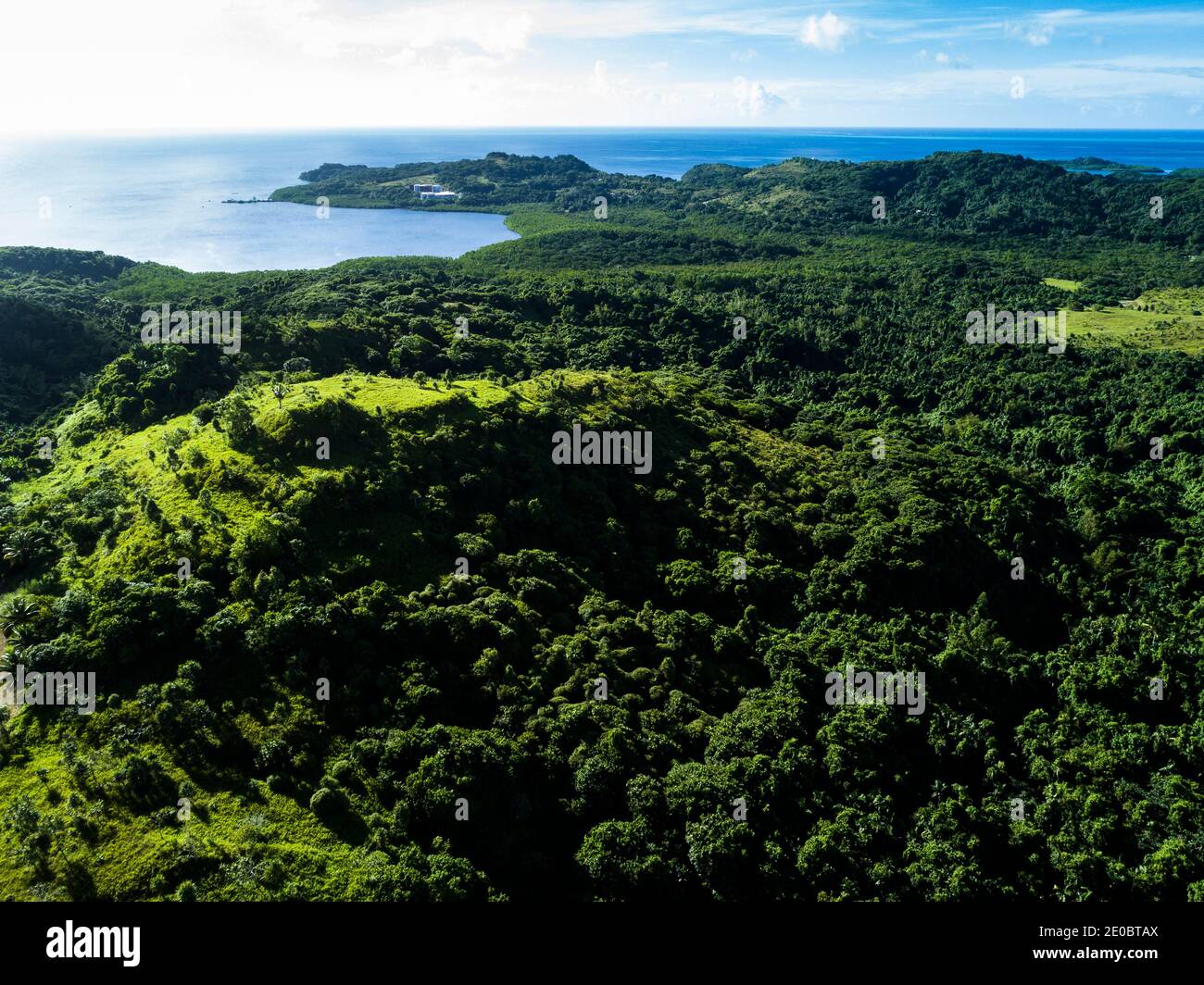 Local KED, Also Terrace, est sculptée forme de relief de colline, mystérieuse ruines artificielles anciennes, Aimeliik, île de Babeldaob, Palau, Micronésie, Océanie Banque D'Images