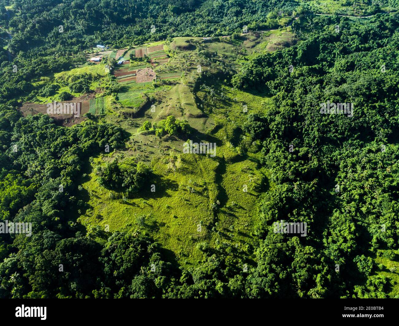 Local KED, Also Terrace, est sculptée forme de relief de colline, mystérieuse ruines artificielles anciennes, Aimeliik, île de Babeldaob, Palau, Micronésie, Océanie Banque D'Images