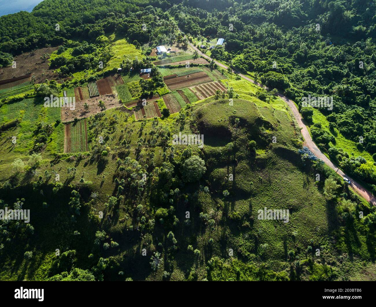Local KED, Also Terrace, est sculptée forme de relief de colline, mystérieuse ruines artificielles anciennes, Aimeliik, île de Babeldaob, Palau, Micronésie, Océanie Banque D'Images