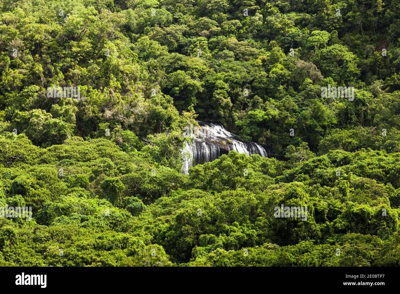 Vue lointaine de la chute d'eau de Ngardmau et du profond jngule de la forêt tropicale de montagne, Ngardau, île de Babeldaob, Palau, Micronésie, Océanie Banque D'Images