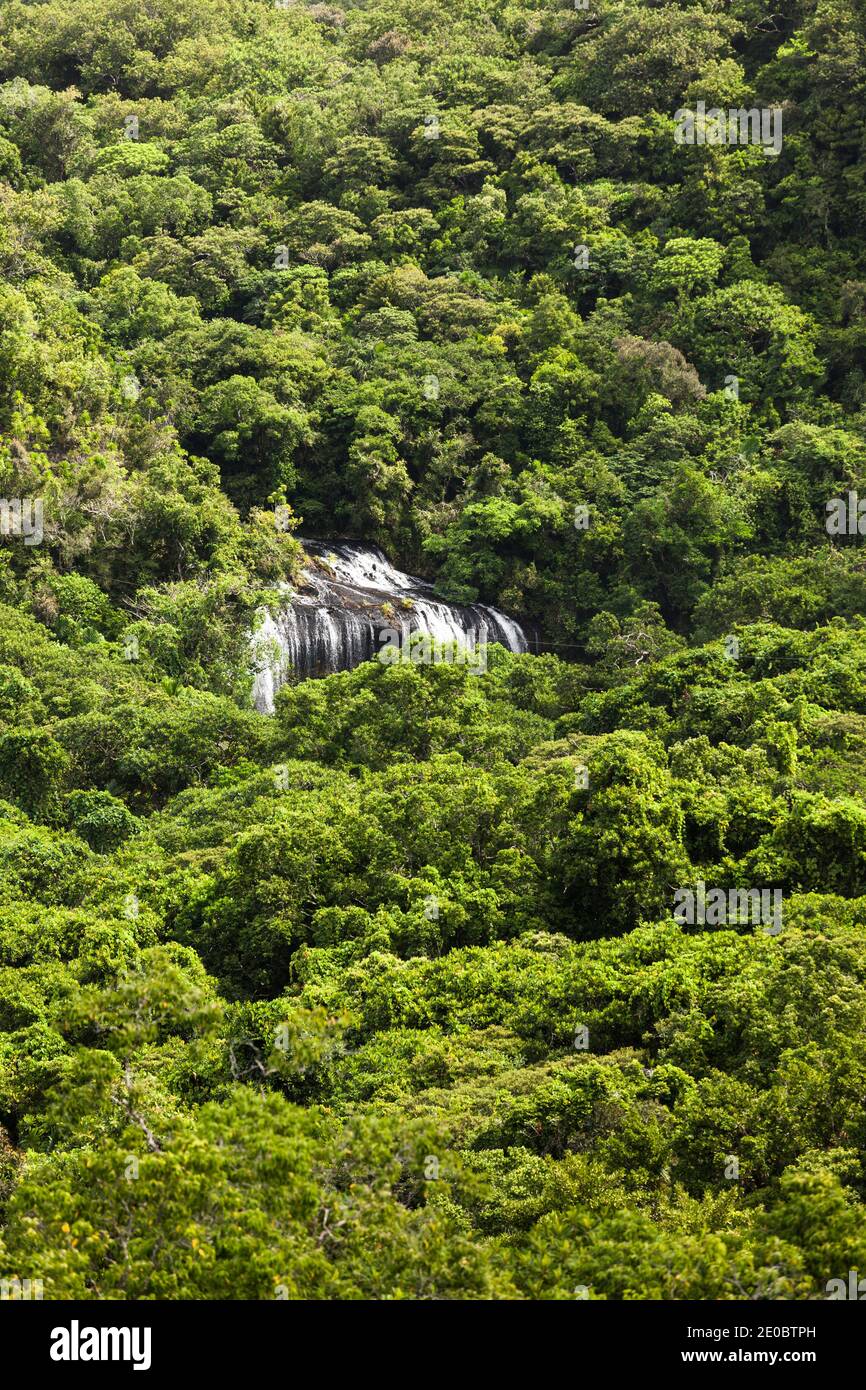 Vue lointaine de la chute d'eau de Ngardmau et du profond jngule de la forêt tropicale de montagne, Ngardau, île de Babeldaob, Palau, Micronésie, Océanie Banque D'Images