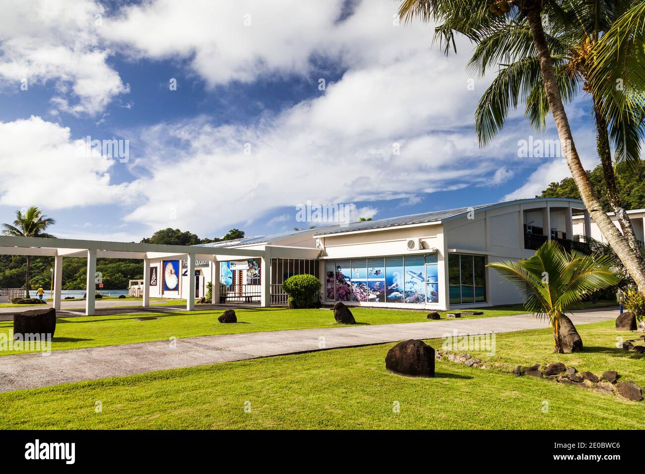Palau International Coral Reef Centre (PCICR), Palau Aquarium, Île de