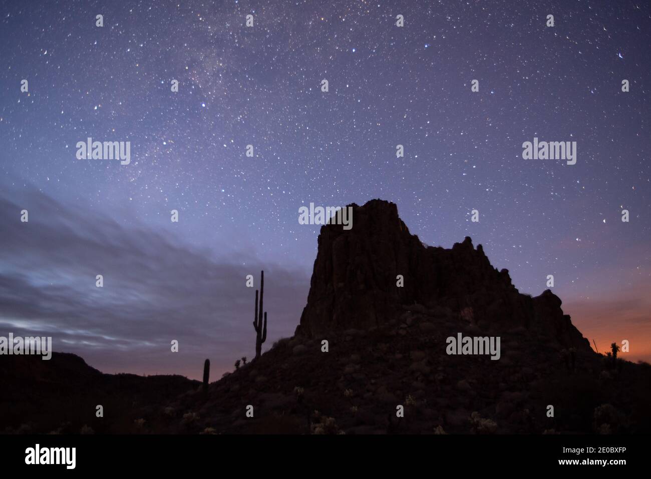 Désert de Sonoran sous un ciel étoilé Banque D'Images