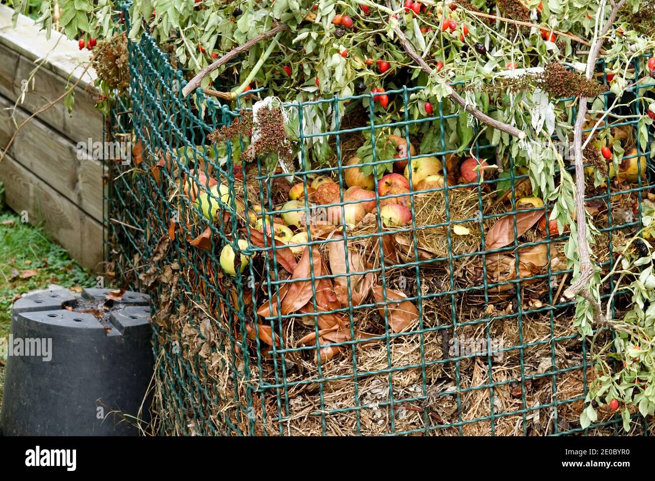 Compost tas de jardin composteur de fil compostage déchets organiques compost de jardin bac de compost tas écologique humus matière organique environnement dégradable Banque D'Images