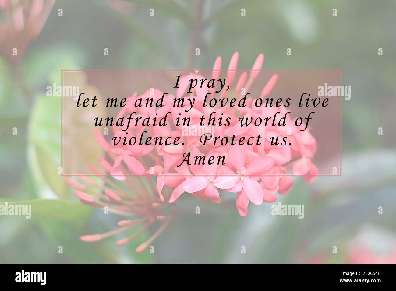 Priere Avec Image De Fleurs Floues Concept De Citation De Priere Photo Stock Alamy