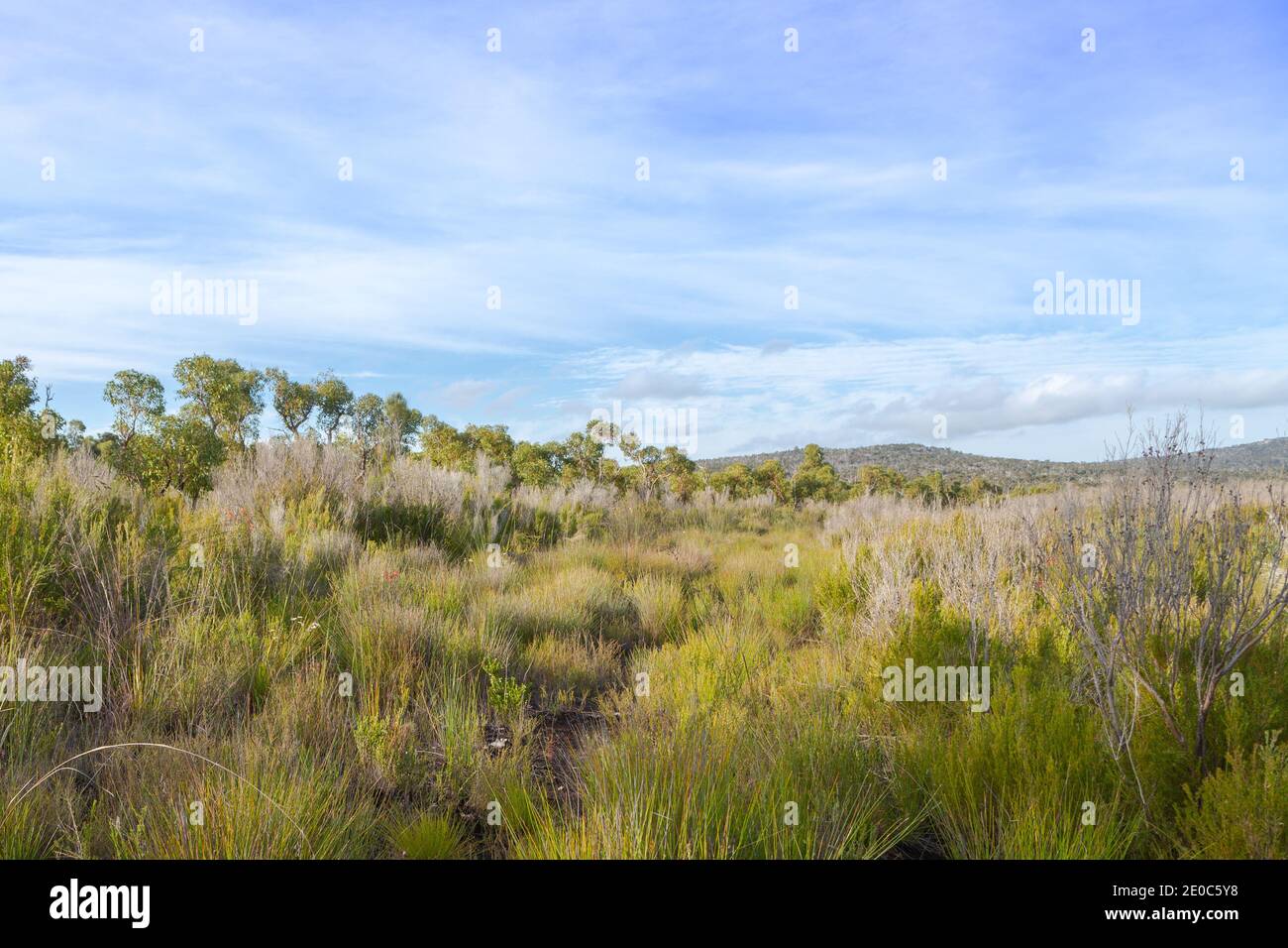 Paysage dans la réserve naturelle de Two Peoples Bay à l'est de Albany en Australie occidentale Banque D'Images
