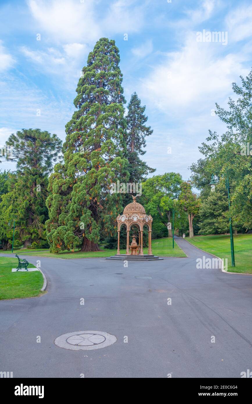 Coucher de soleil sur le parc de la ville de Launceston, Australie Banque D'Images