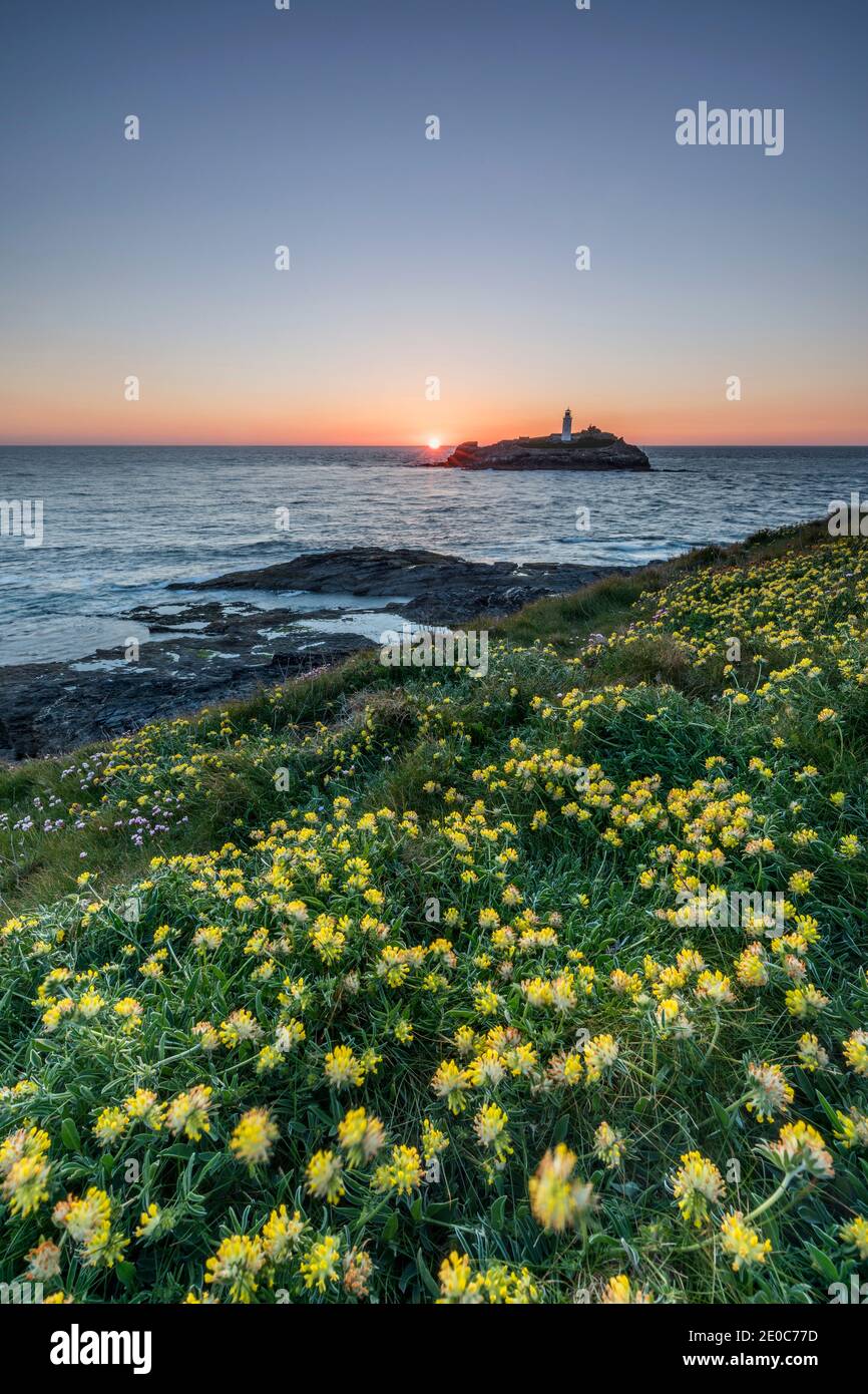 Godrevy Coucher du soleil ; les reins ; Vesce Anthyllis vulneraria, Cornwall, UK Banque D'Images