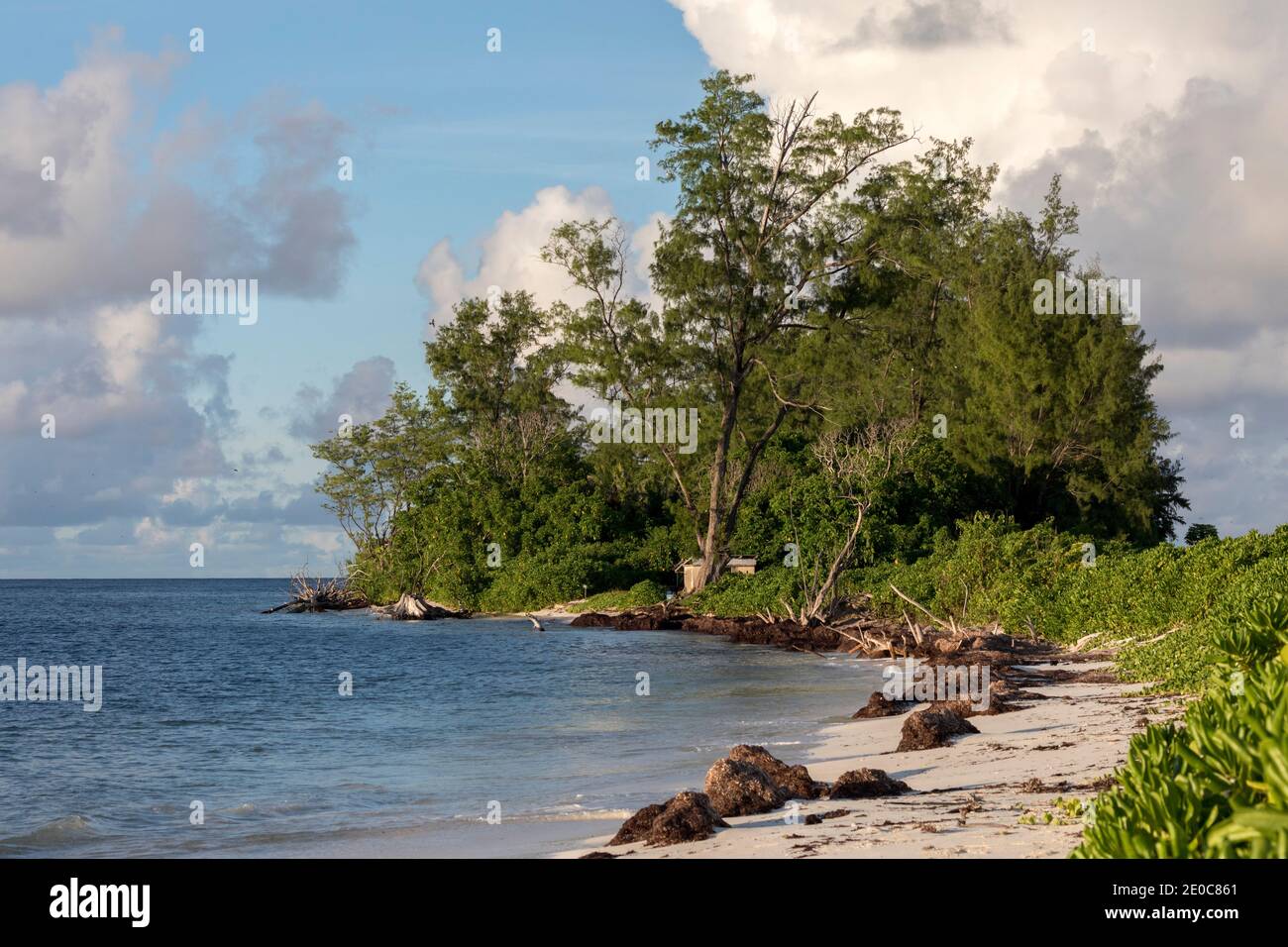 Île aux oiseaux; Seychelles Banque D'Images