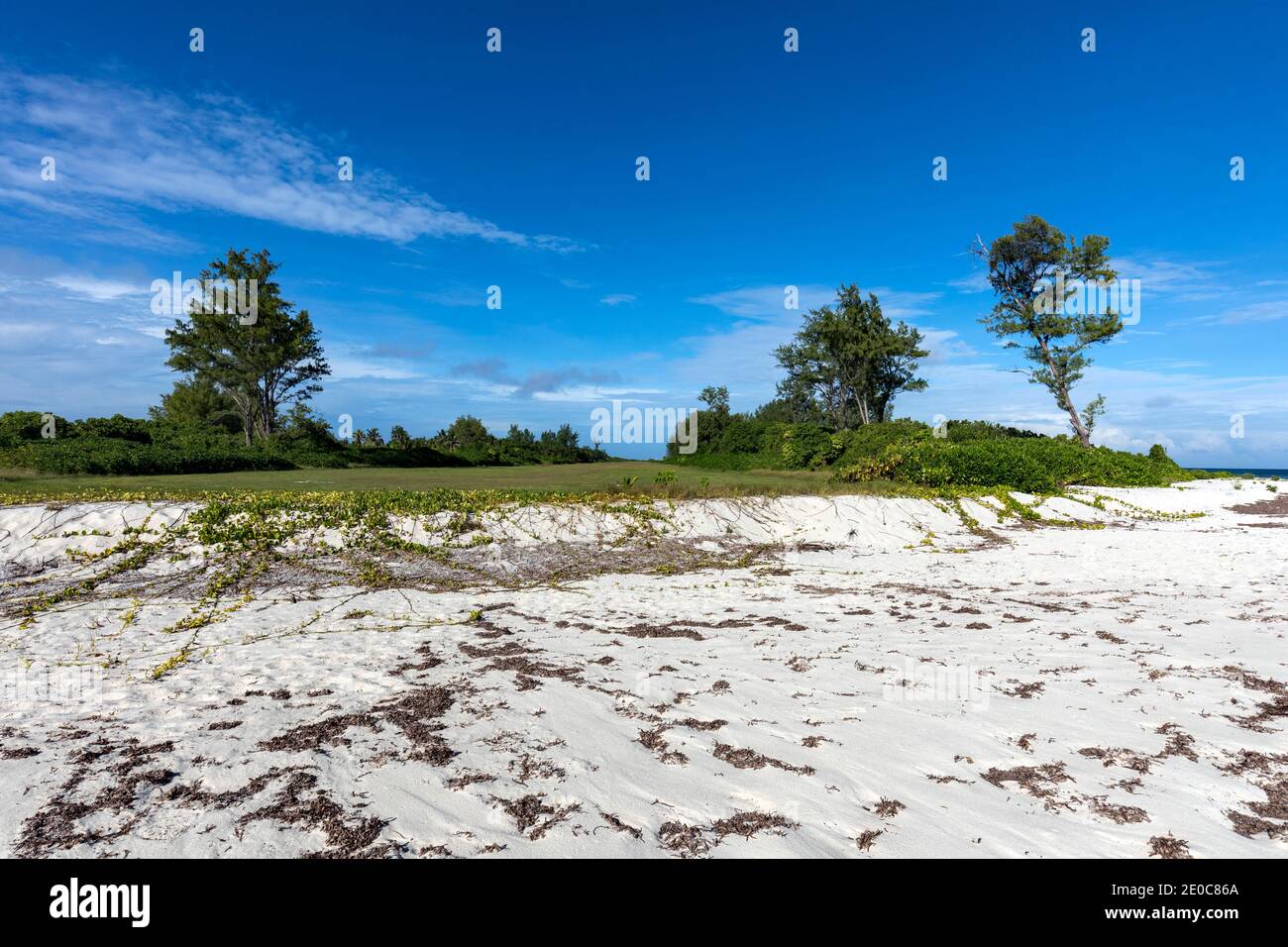Bird Island ; Air Strip ; Seychelles Banque D'Images